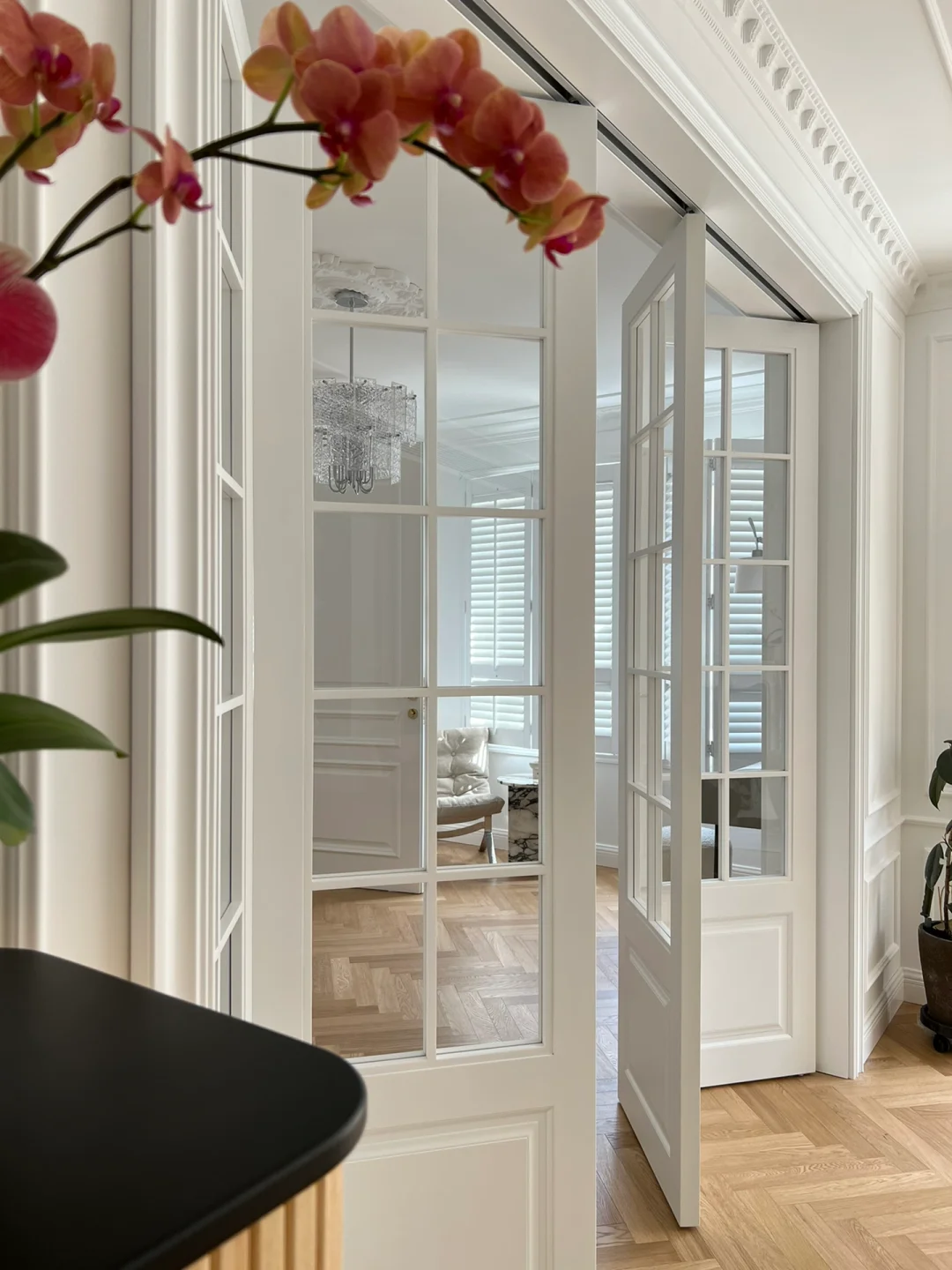 French Folding Door